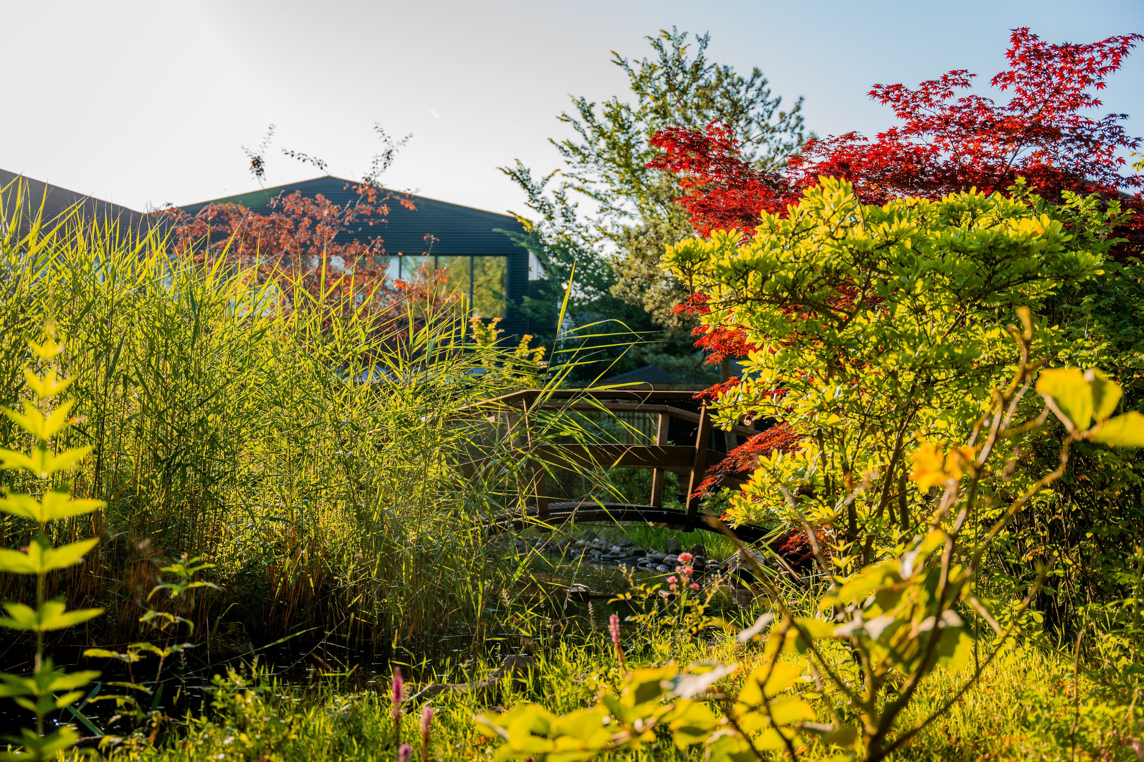 Bloeiende tuinen met bomen en planten in de buitenruimte van Thermen Binnenmaas.